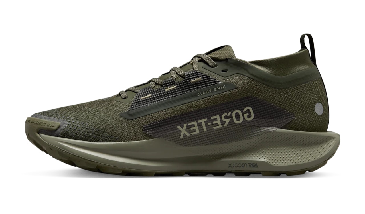 Nike Pegasus Trail 5 Gore-Tex "Sequoia"