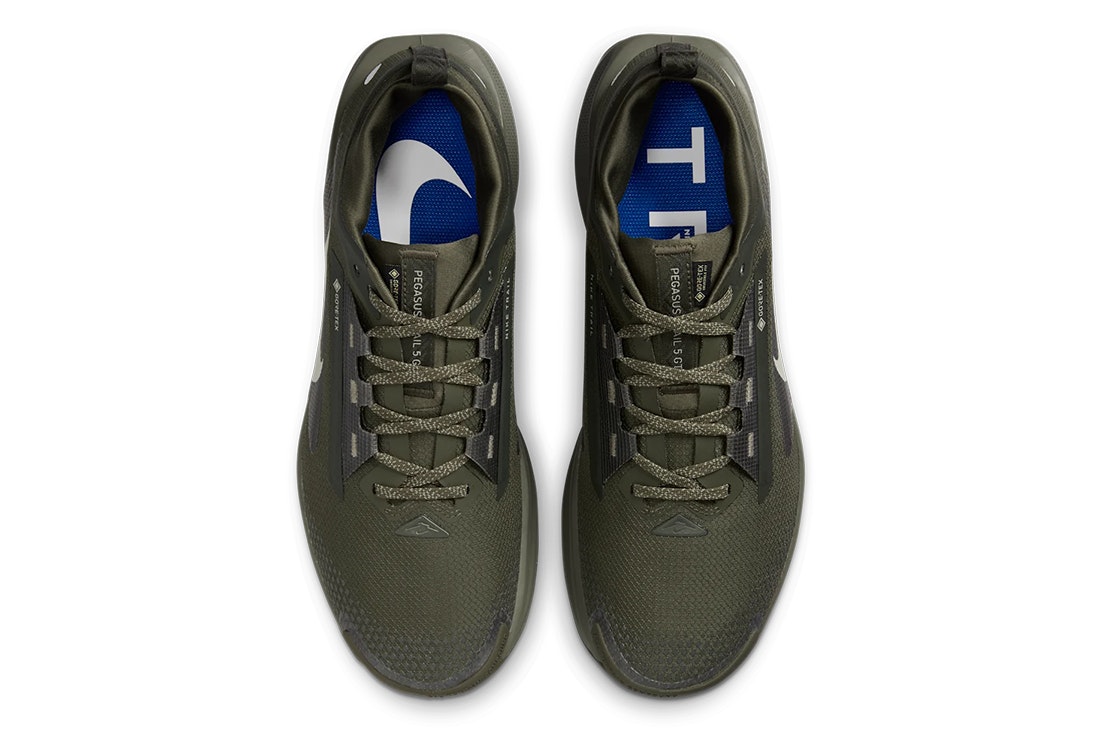 Nike Pegasus Trail 5 Gore-Tex "Sequoia"
