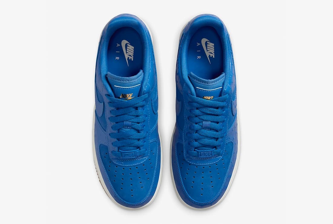 Nike Air Force 1 Low "Blue Ostrich"