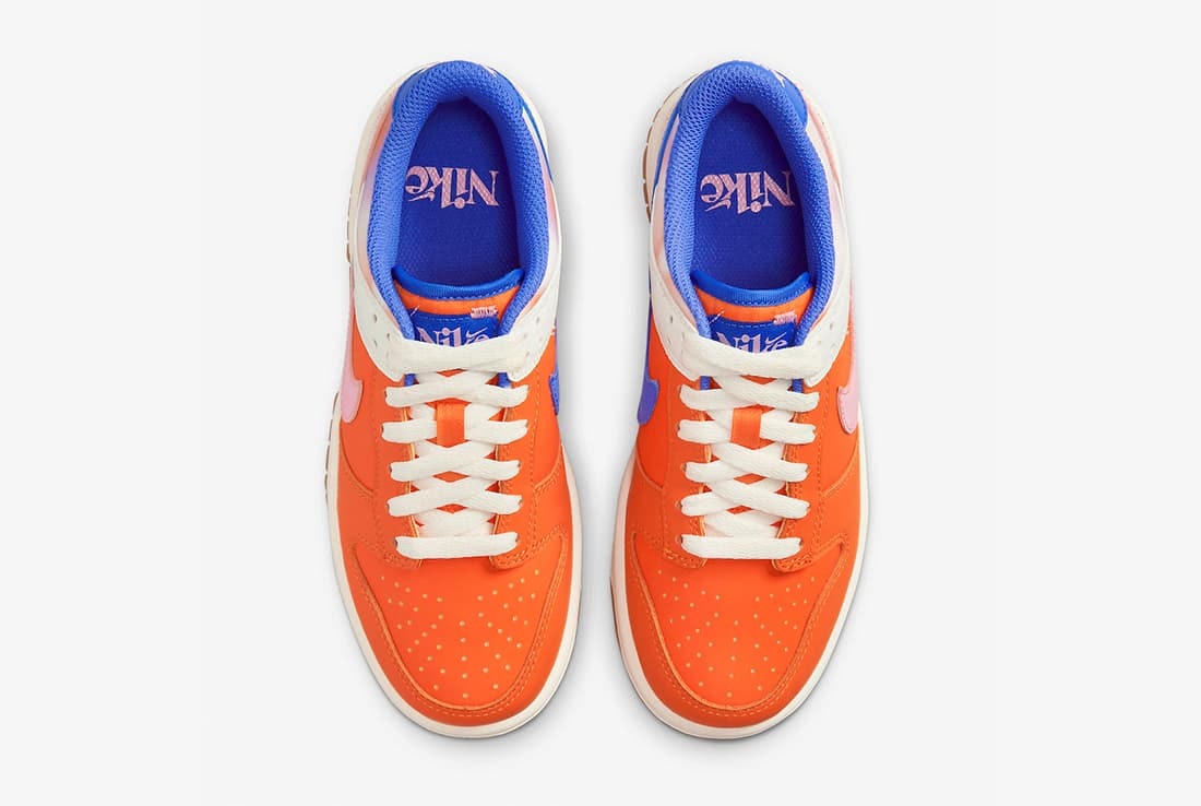 Nike Dunk Low "Everything you need"