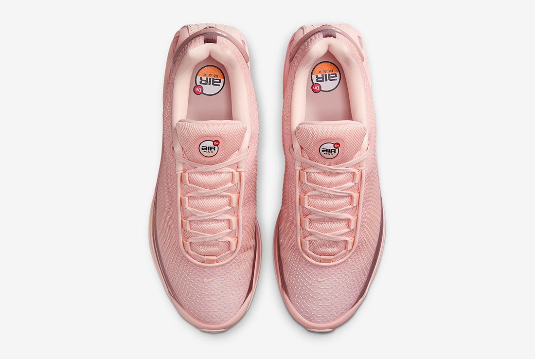 Nike Air Max DN "Washed Coral"