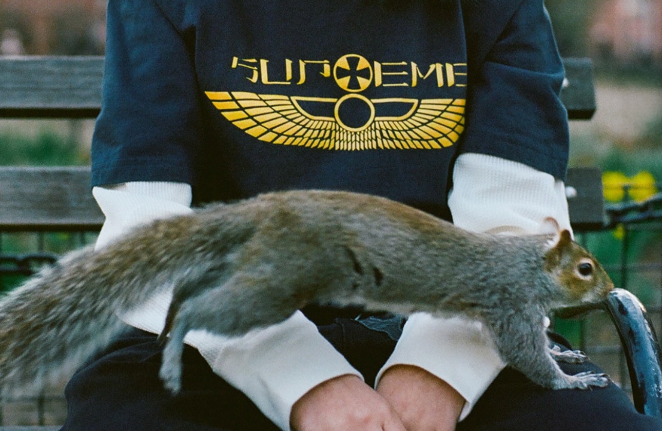Supreme - Spring Tees