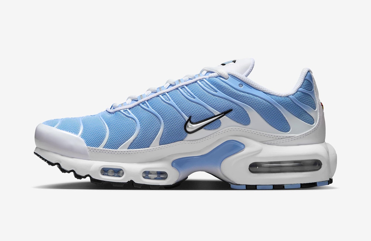 Nike Air Max Plus "Aluminum"