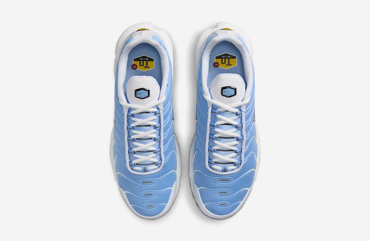 Nike Air Max Plus "Aluminum"