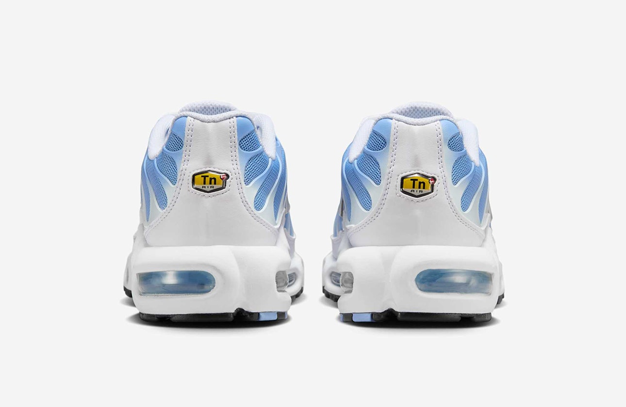 Nike Air Max Plus "Aluminum"