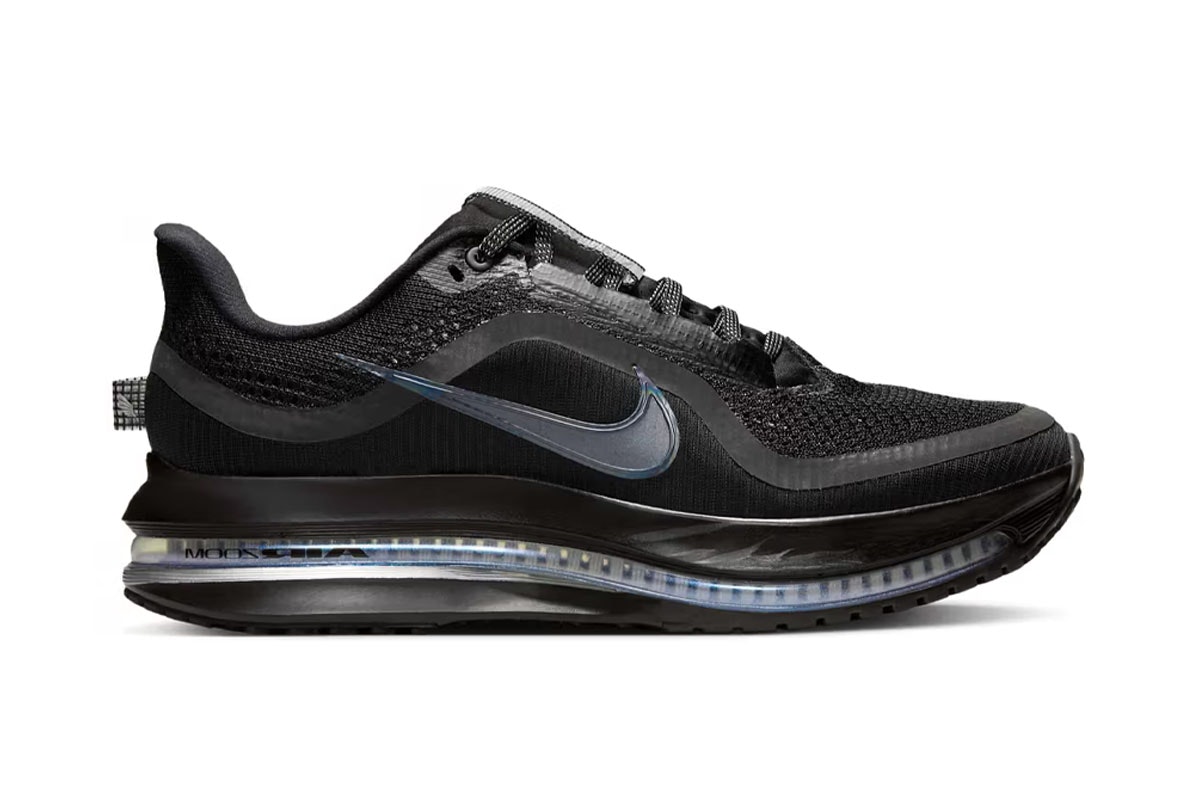 Nike Pegasus Premium Black Metallic Silver