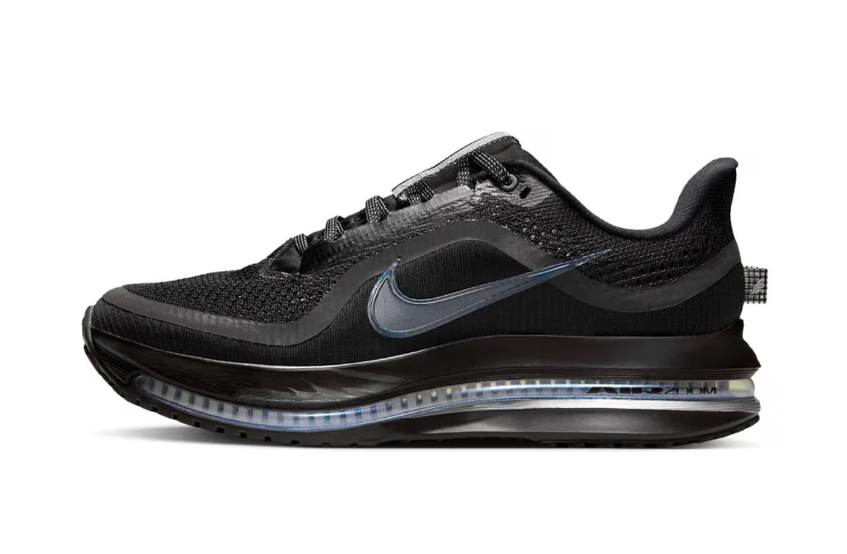 Nike Pegasus Premium Black Metallic Silver
