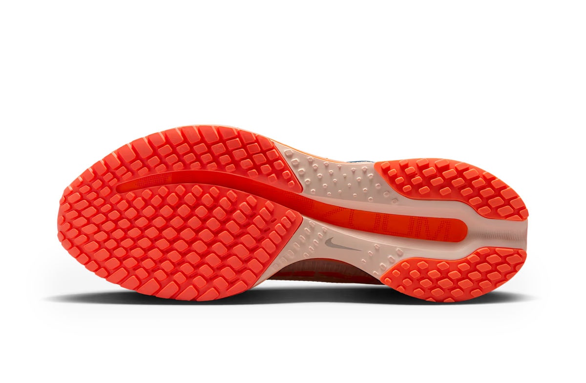Nike Pegasus Premium Washed Coral