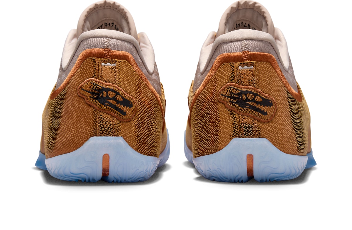 Nike LeBron 23 LeBronto