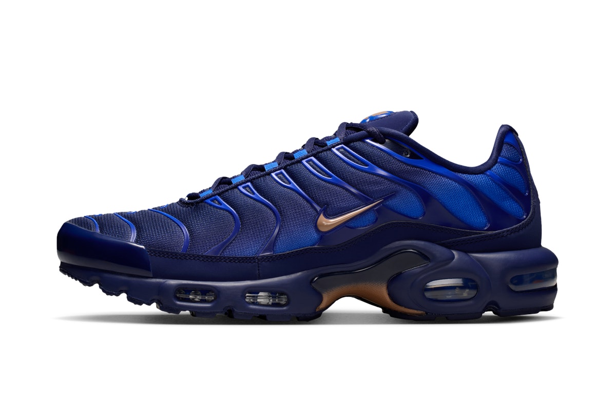 Nike Air Max Plus French Football Federation