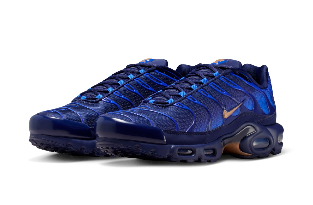 Nike Air Max Plus French Football Federation