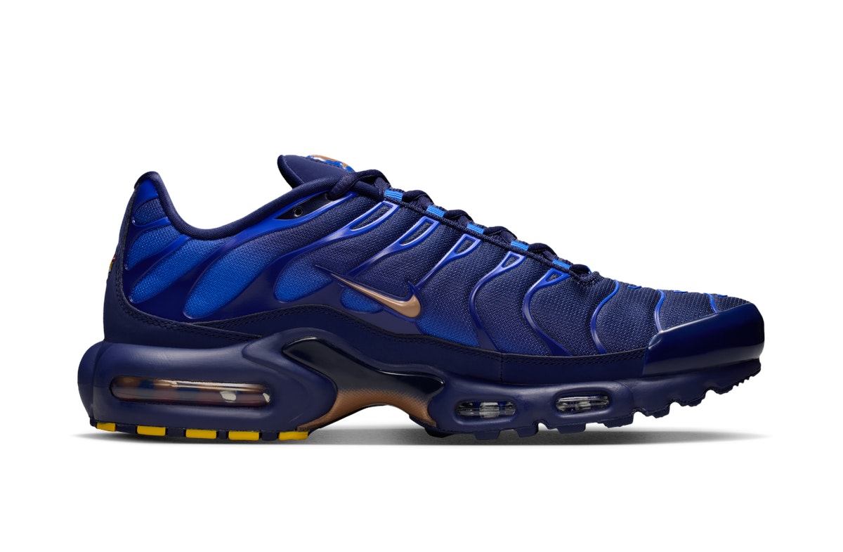 Nike Air Max Plus French Football Federation