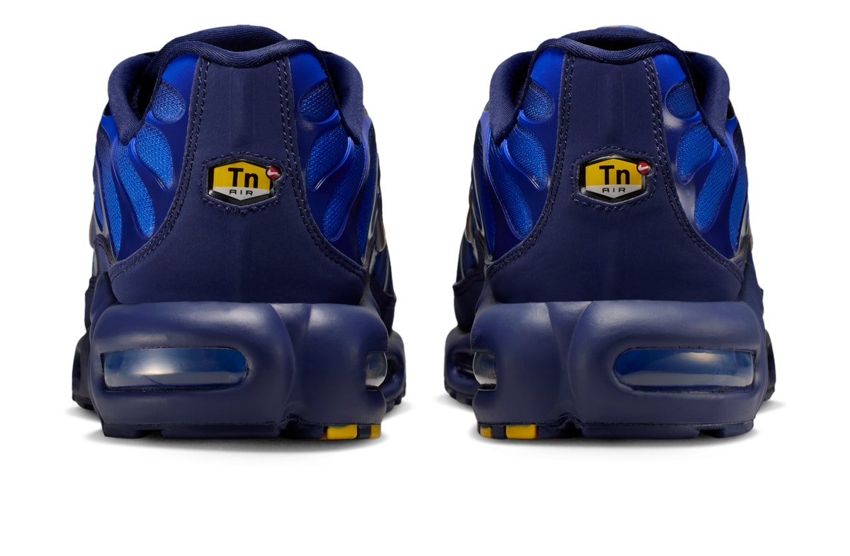 Nike Air Max Plus French Football Federation