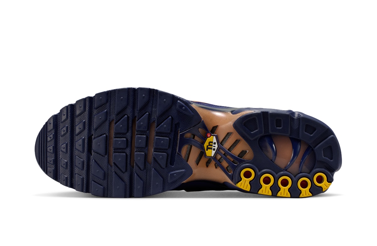 Nike Air Max Plus French Football Federation