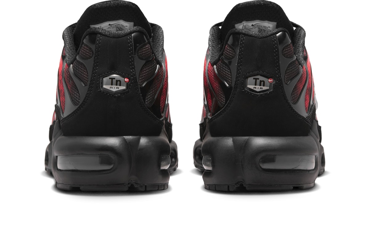 Nike Air Max Plus Flairemax