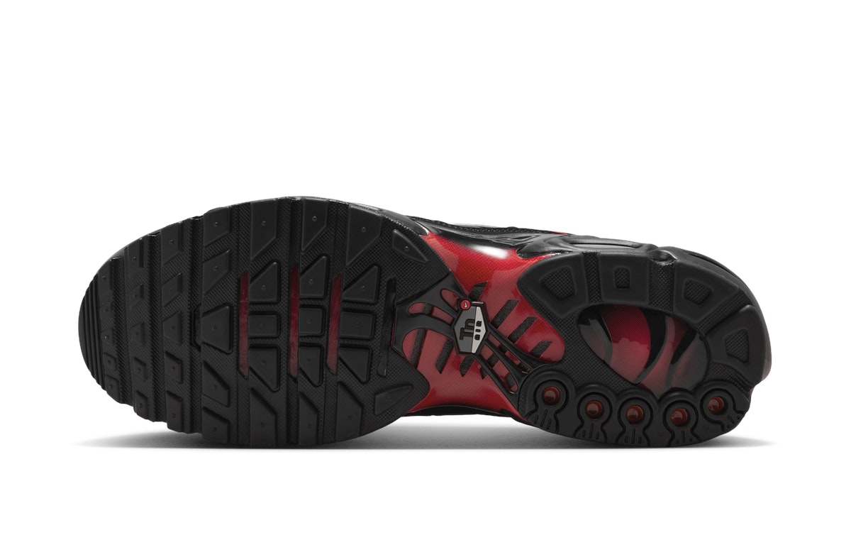 Nike Air Max Plus Flairemax