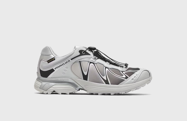 Salomon XT-Whisper GORE-TEX Winter Stories Pack Gray Violet