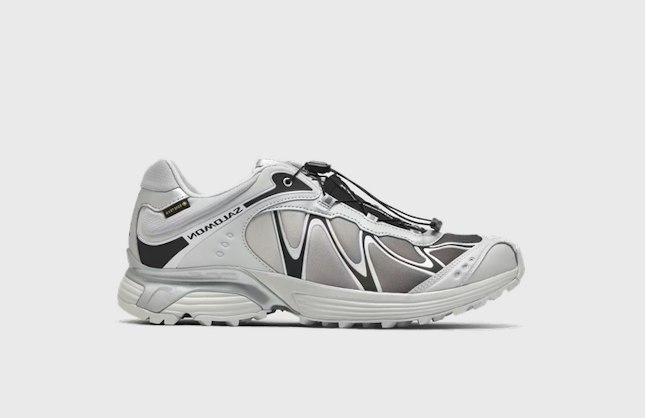 Salomon XT-Whisper Gore-Tex Silver