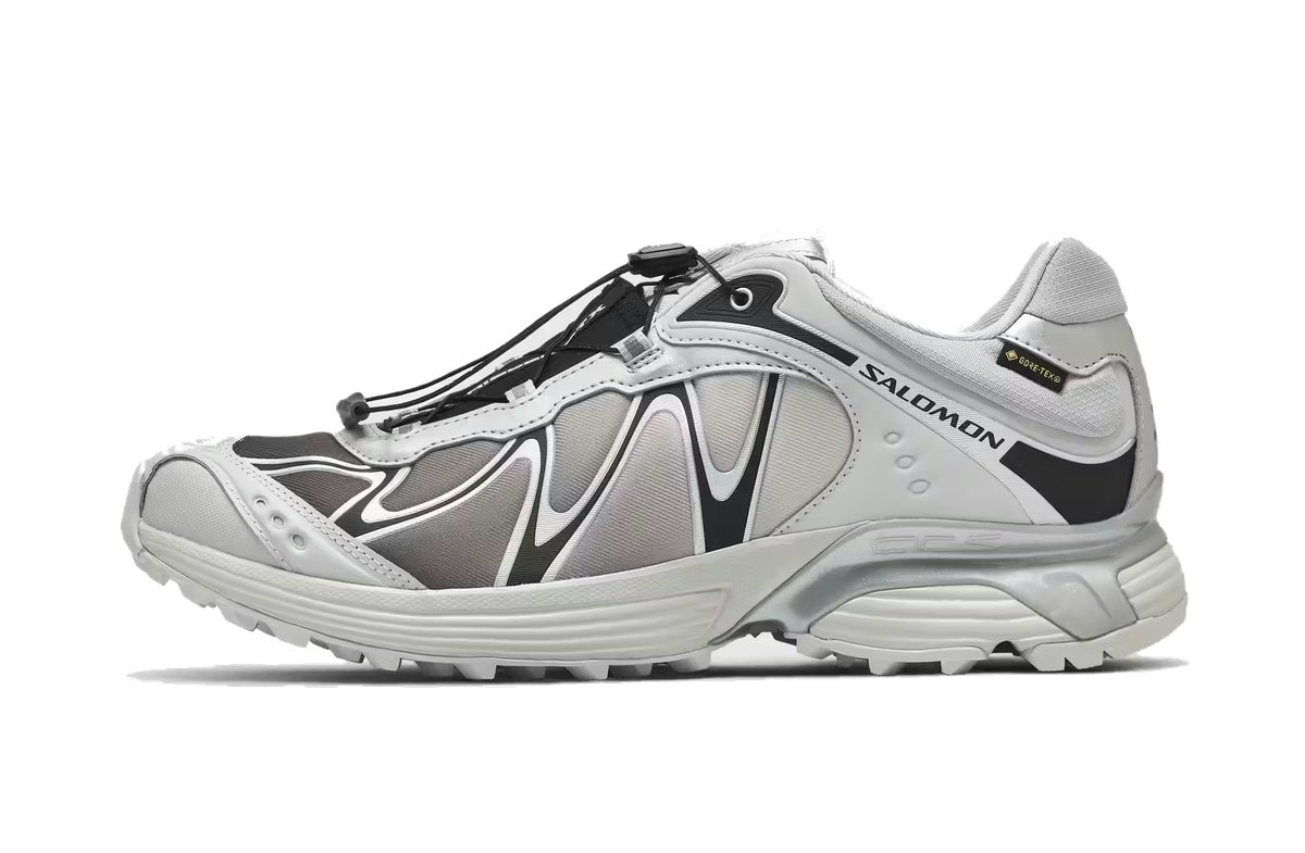 Salomon XT-Whisper Gore-Tex Silver