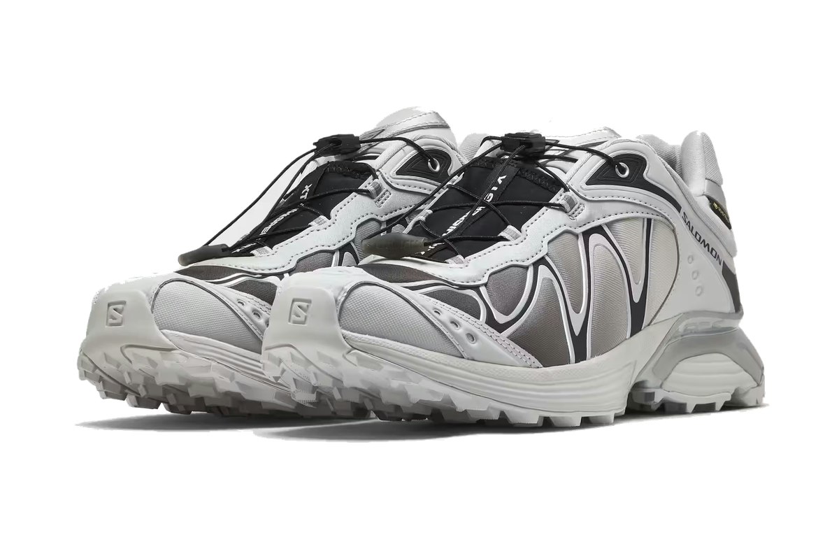 Salomon XT-Whisper Gore-Tex Silver