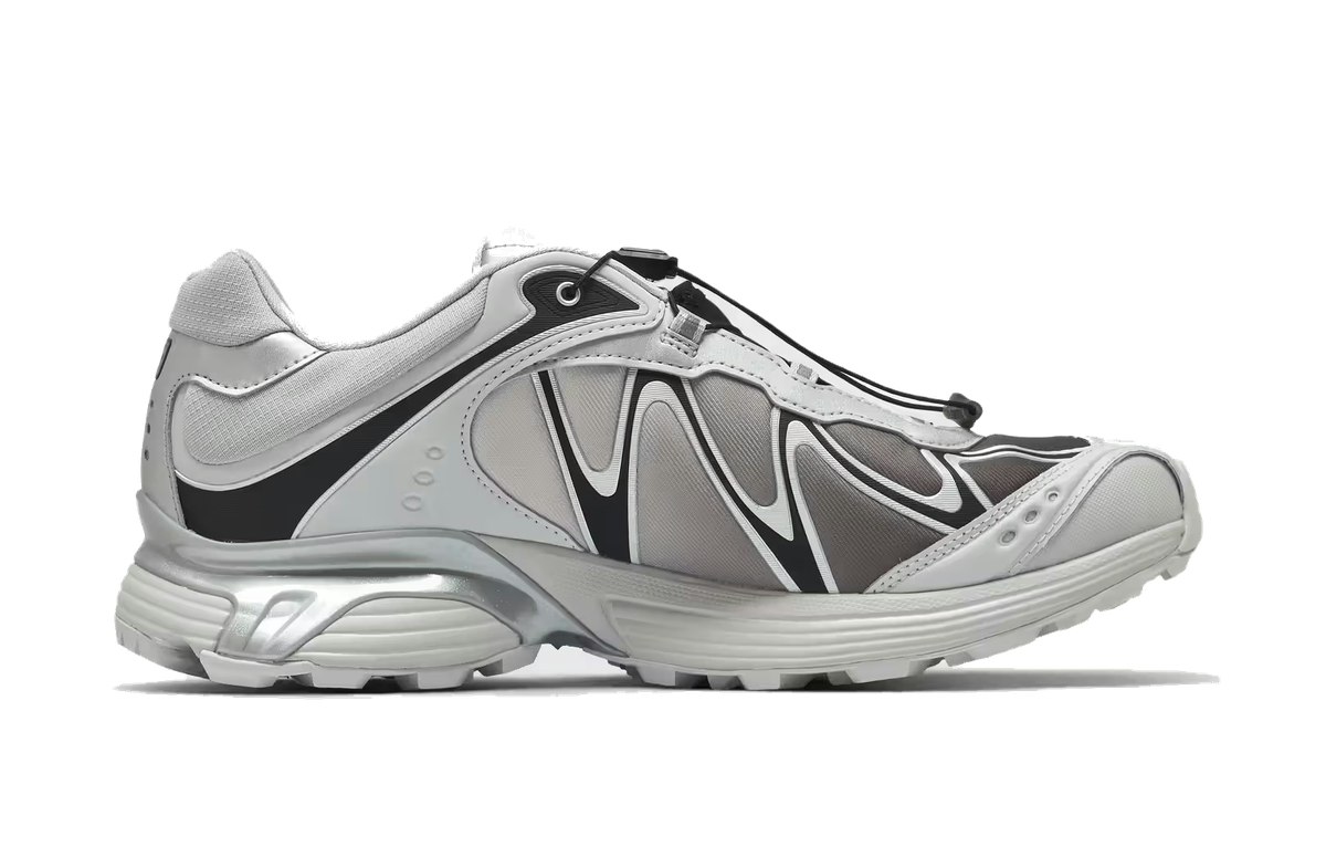 Salomon XT-Whisper Gore-Tex Silver