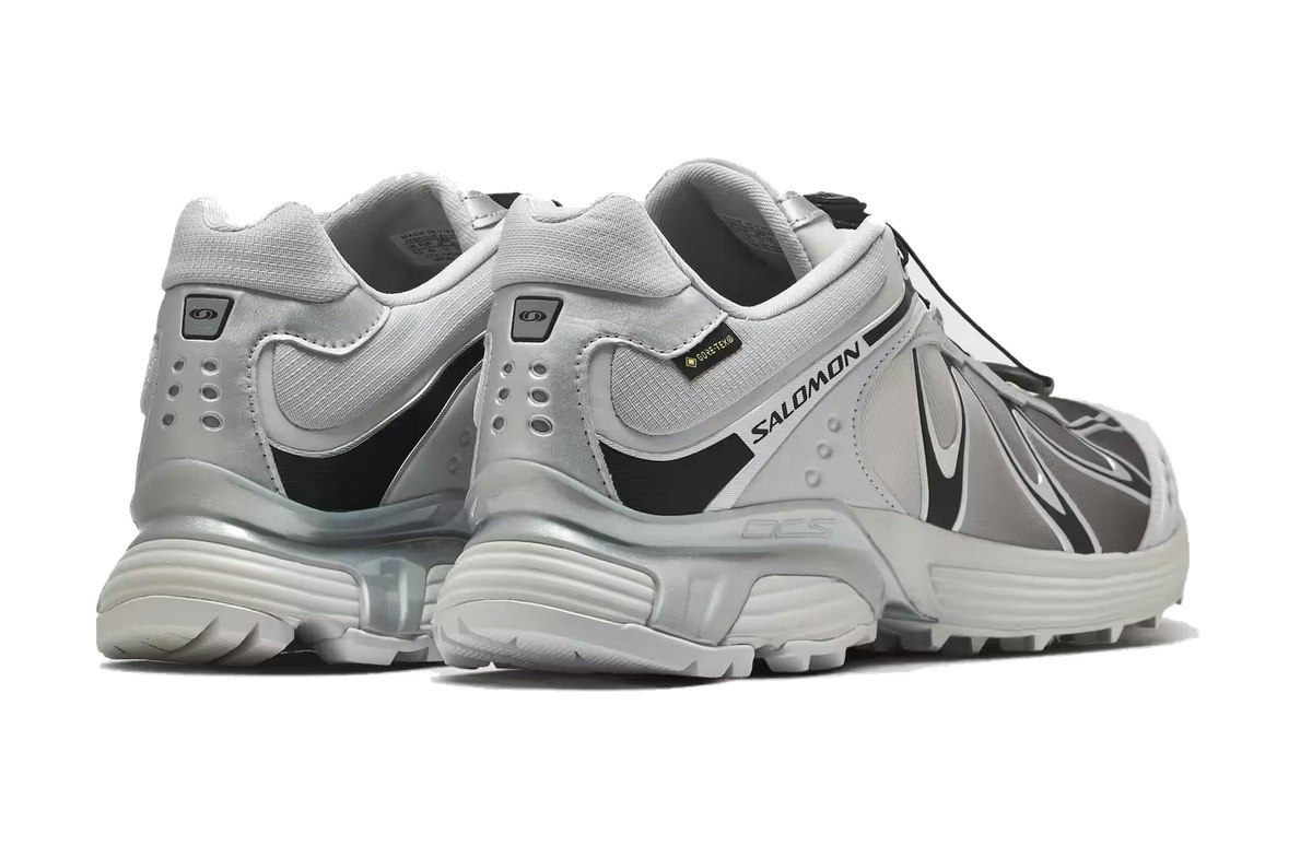 Salomon XT-Whisper Gore-Tex Silver