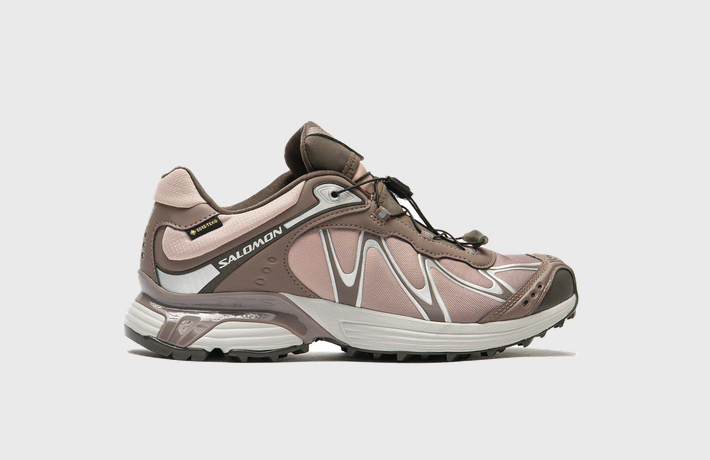 Salomon XT-Whisper GORE-TEX Winter Stories Pack Iron