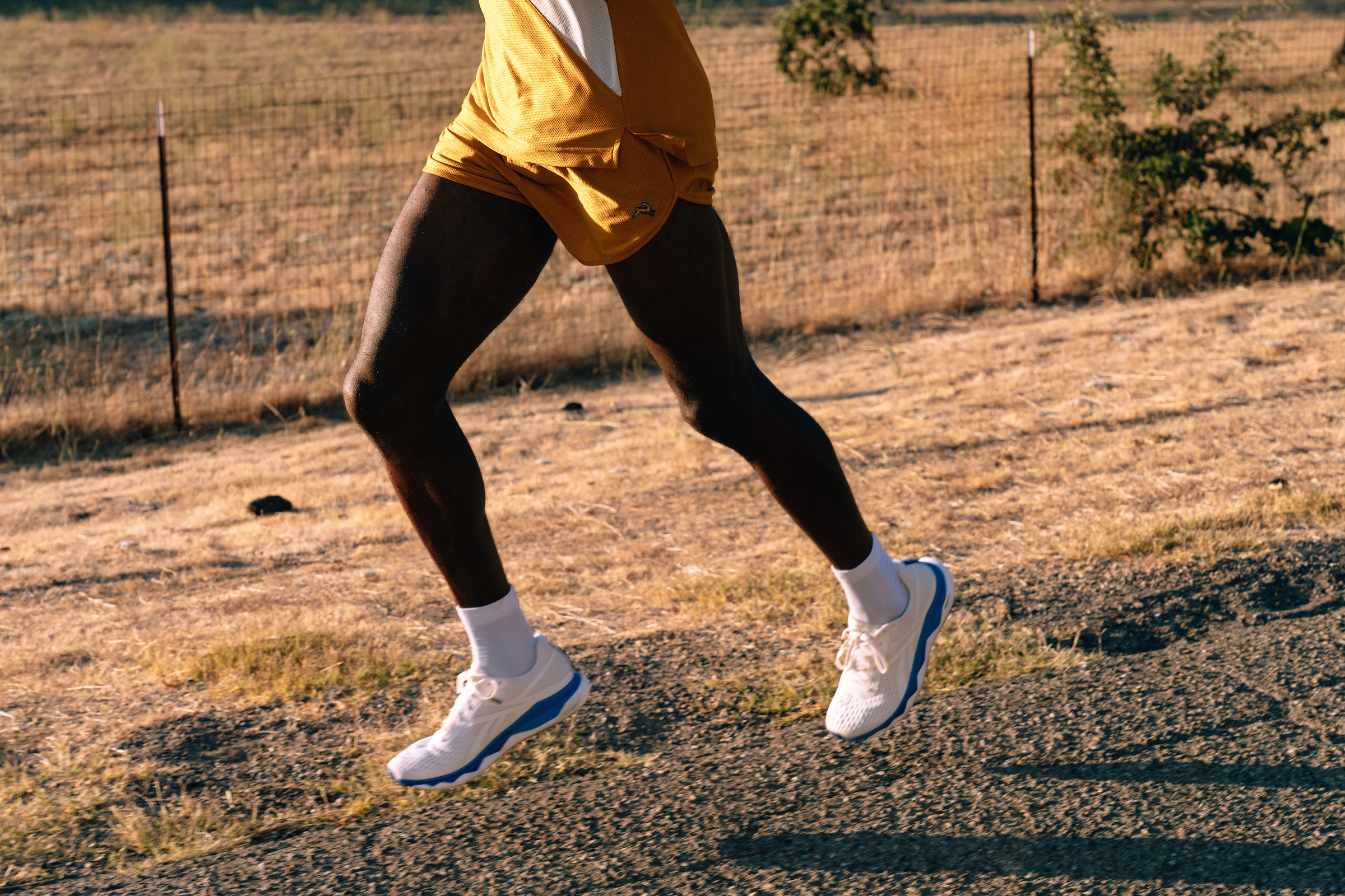 Men S Van Cortlandt Shorts Tracksmith