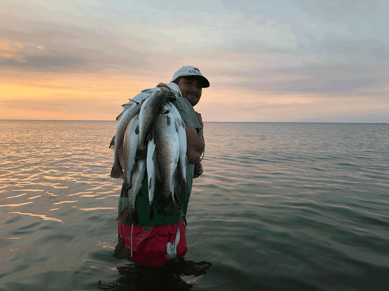 Image of fisherman with a lot of speckled trout