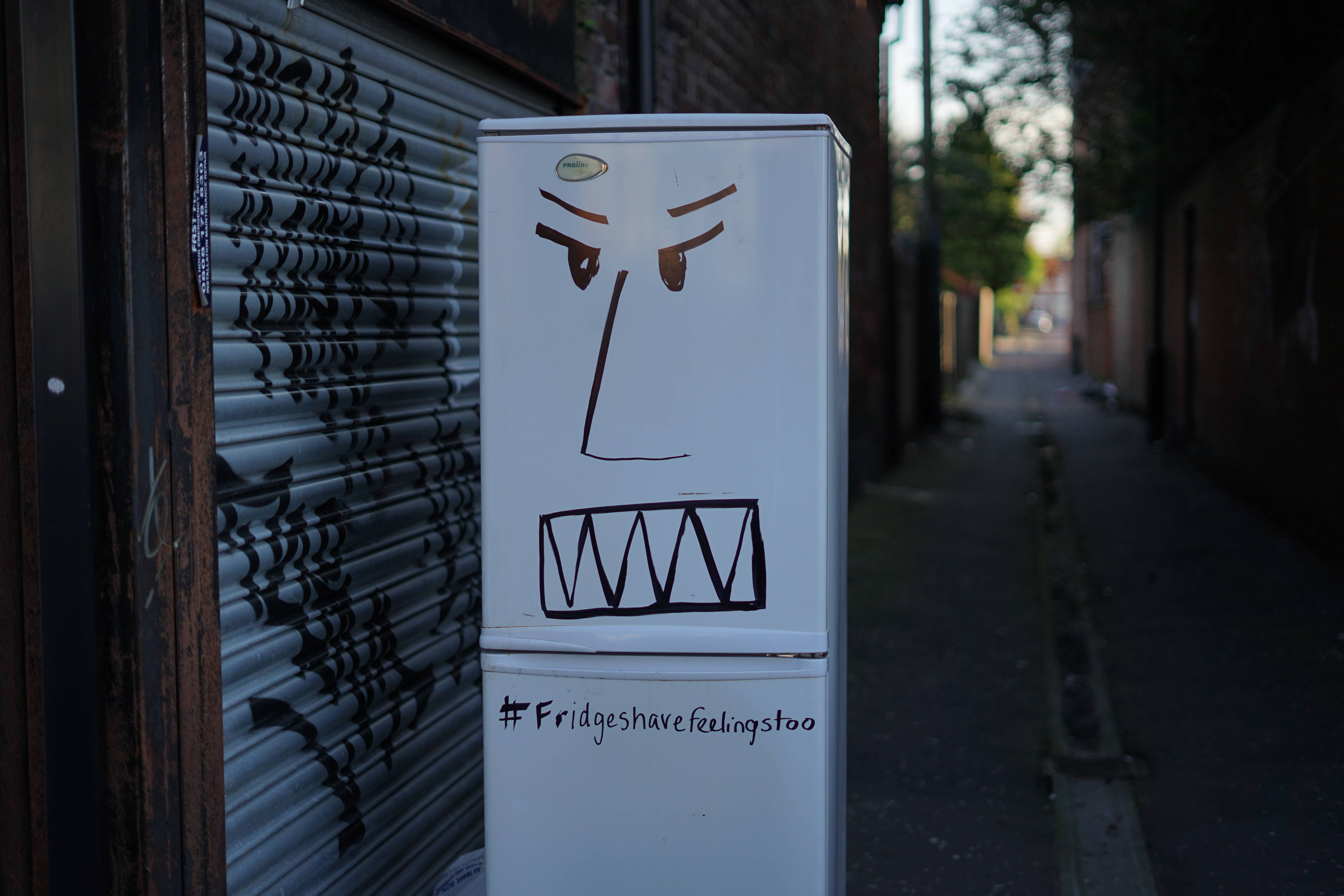 Kylskåp med tecknat ansikte och texten "fridges have feelings too". Att använda rätt hjälpmedel är viktigt när man ska transportera kylskåp vid flytt 