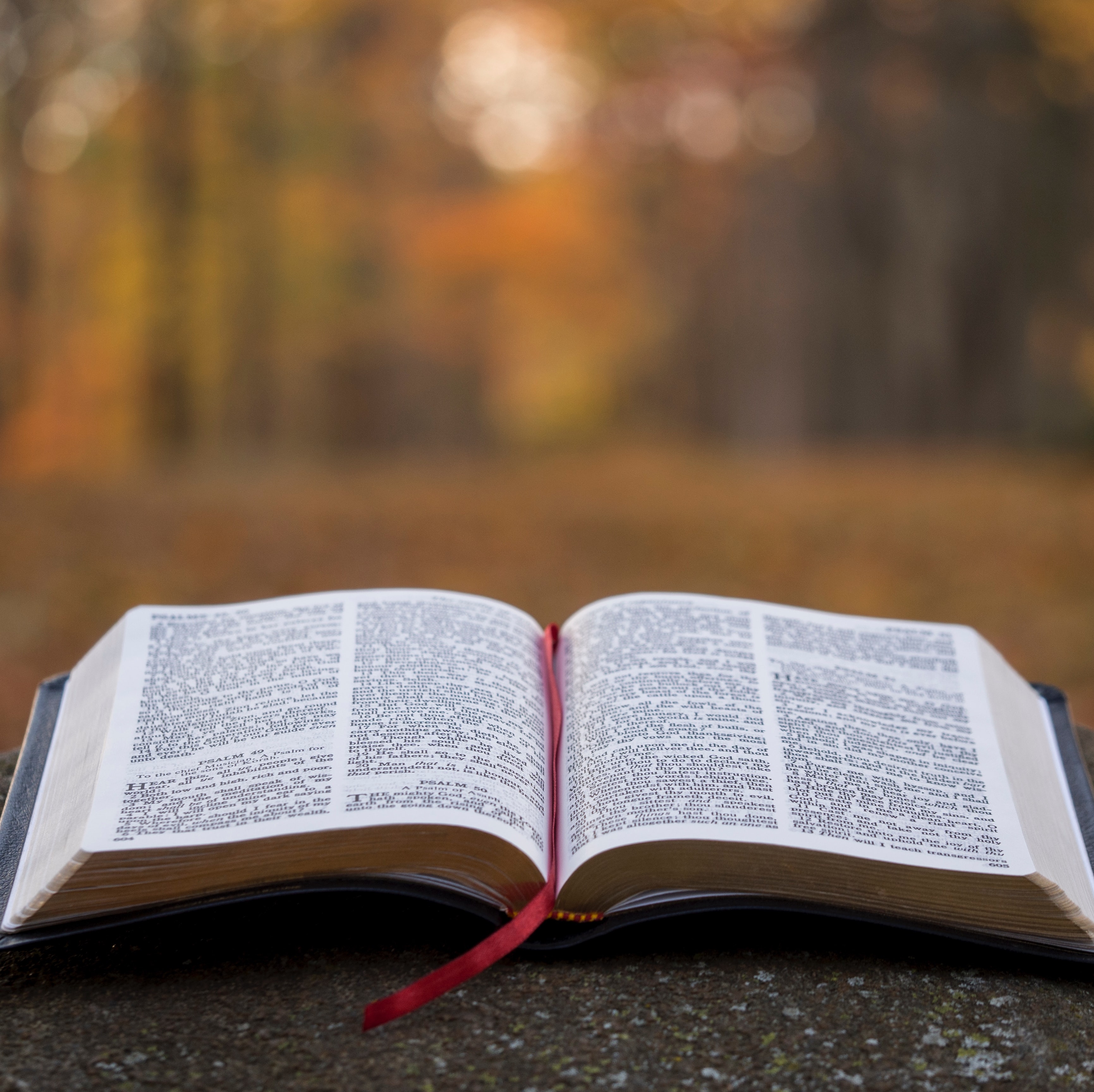 1584308845 homilies