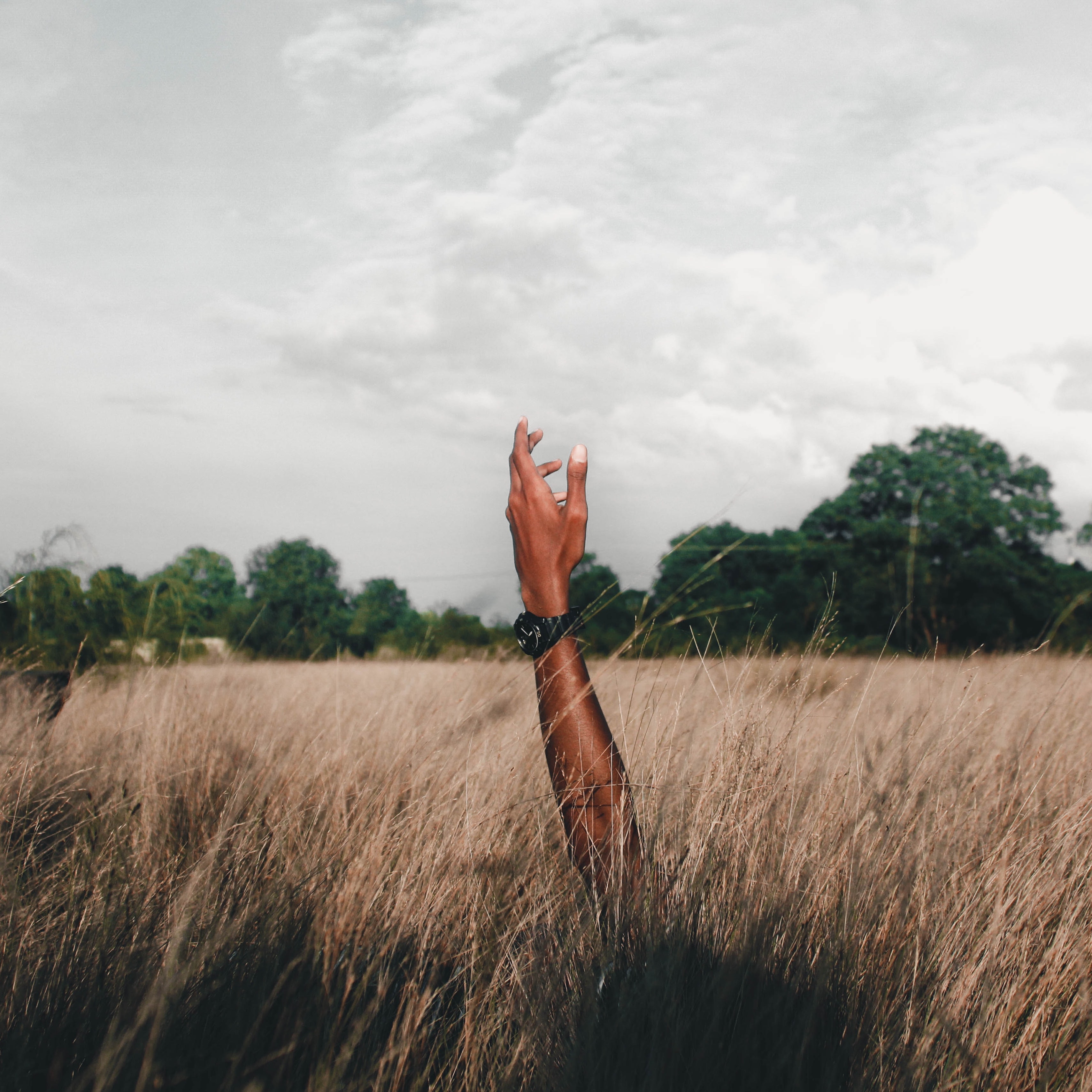 1589026178 arjunsyah 6qvlwcrhnyu unsplash