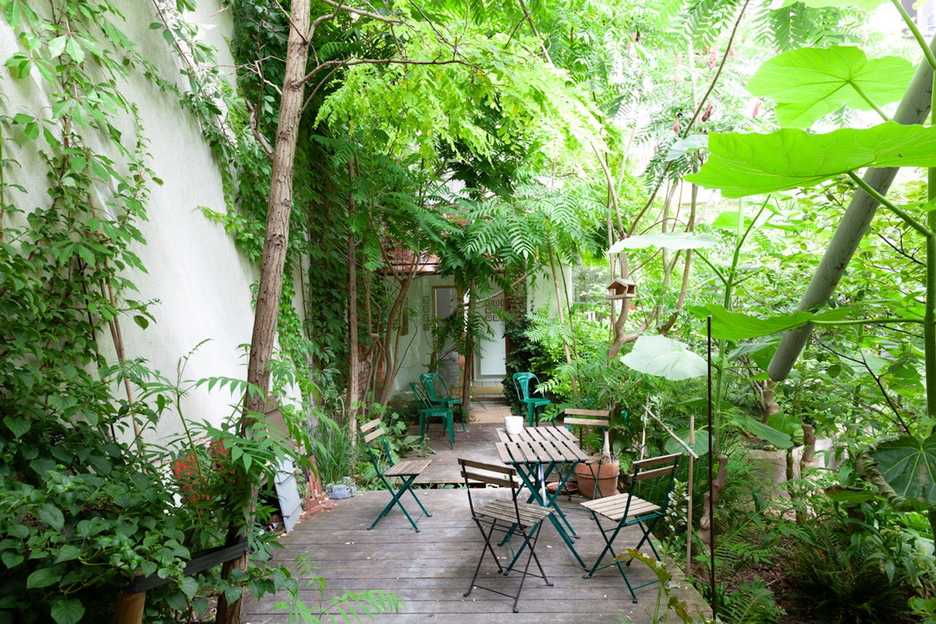 Jardin de l'agence Béal Blanckaert architectes