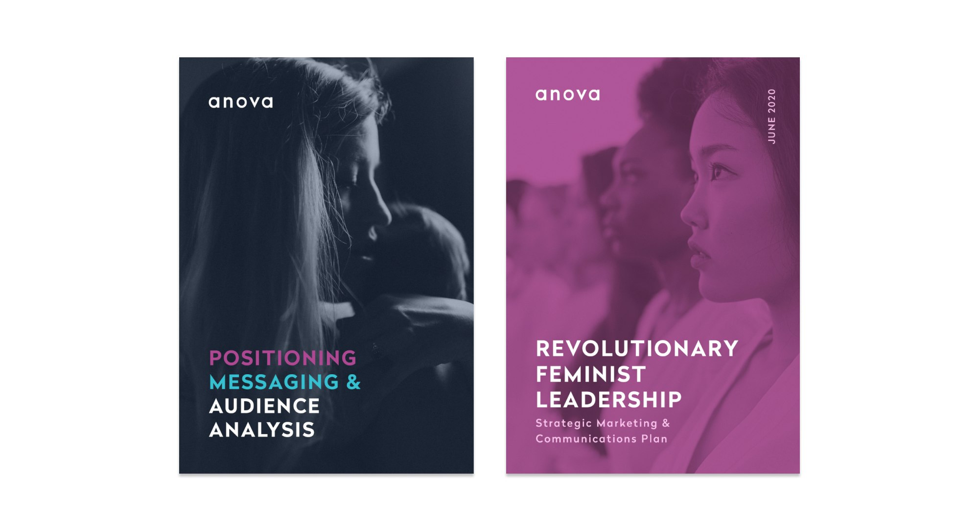 Anova Marketing Plan Cover Art