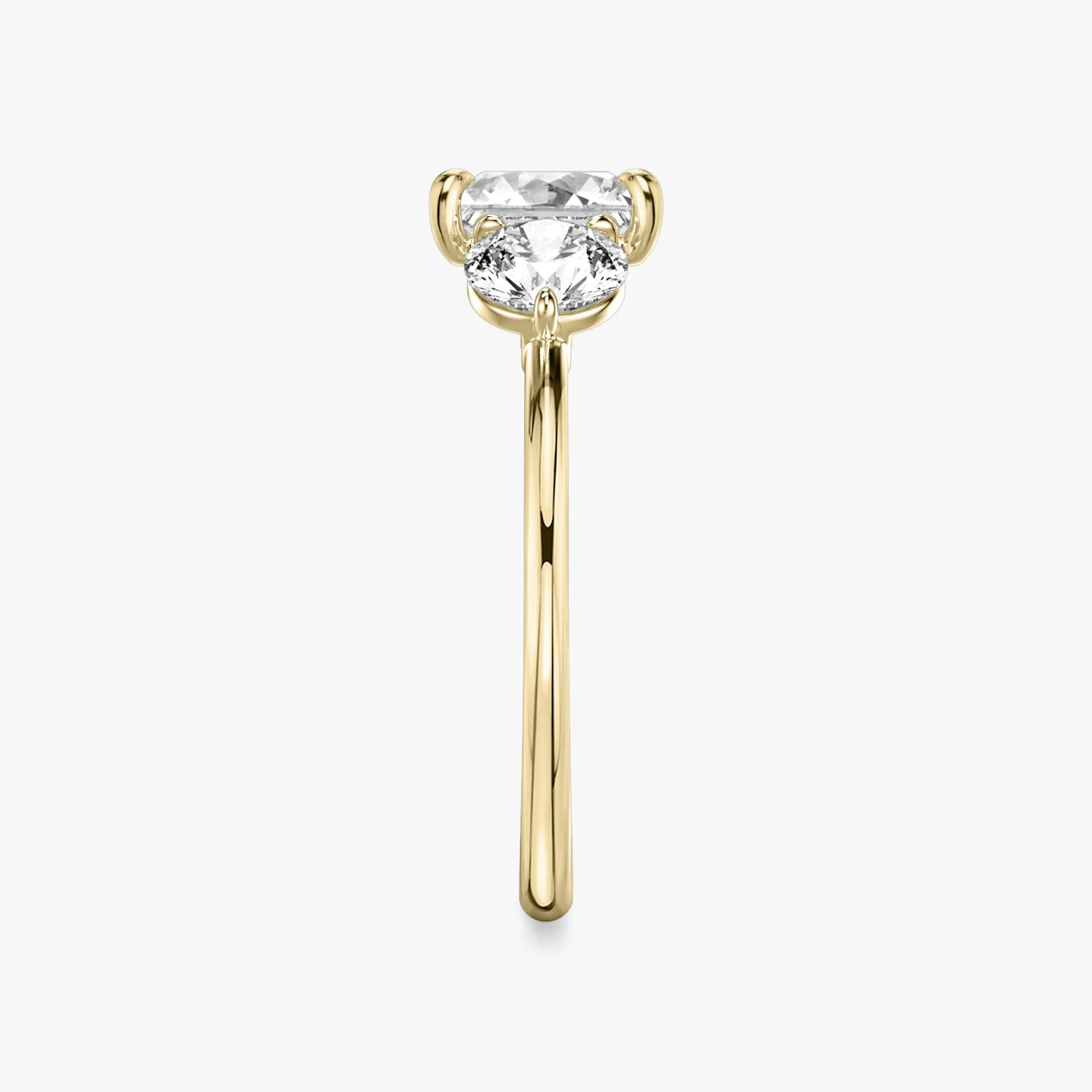 The Three Stone | Princess | 18k | 18k Yellow Gold | Band: Plain | Side stone carat: 1/2 | Side stone shape: Round Brilliant | Diamond orientation: vertical | Carat weight: See full inventory