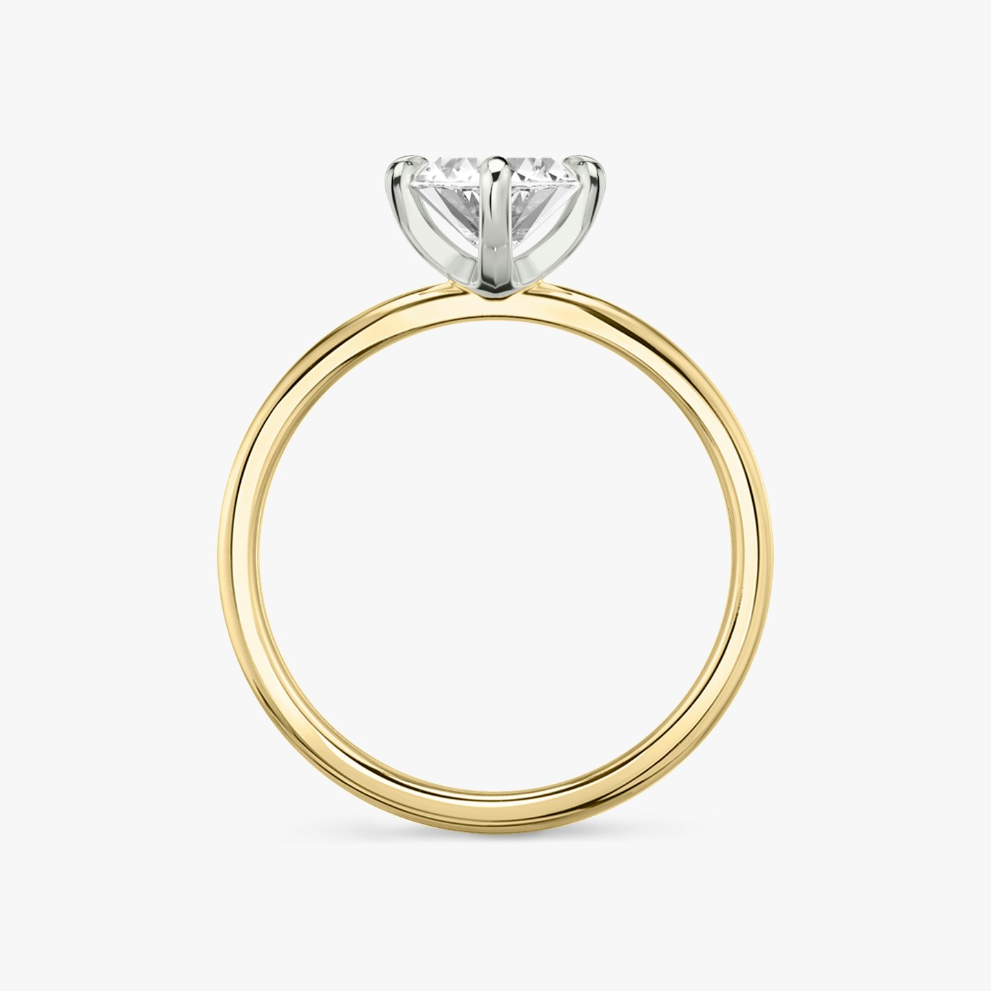 Closeup image of The Classic Two Tone Ring