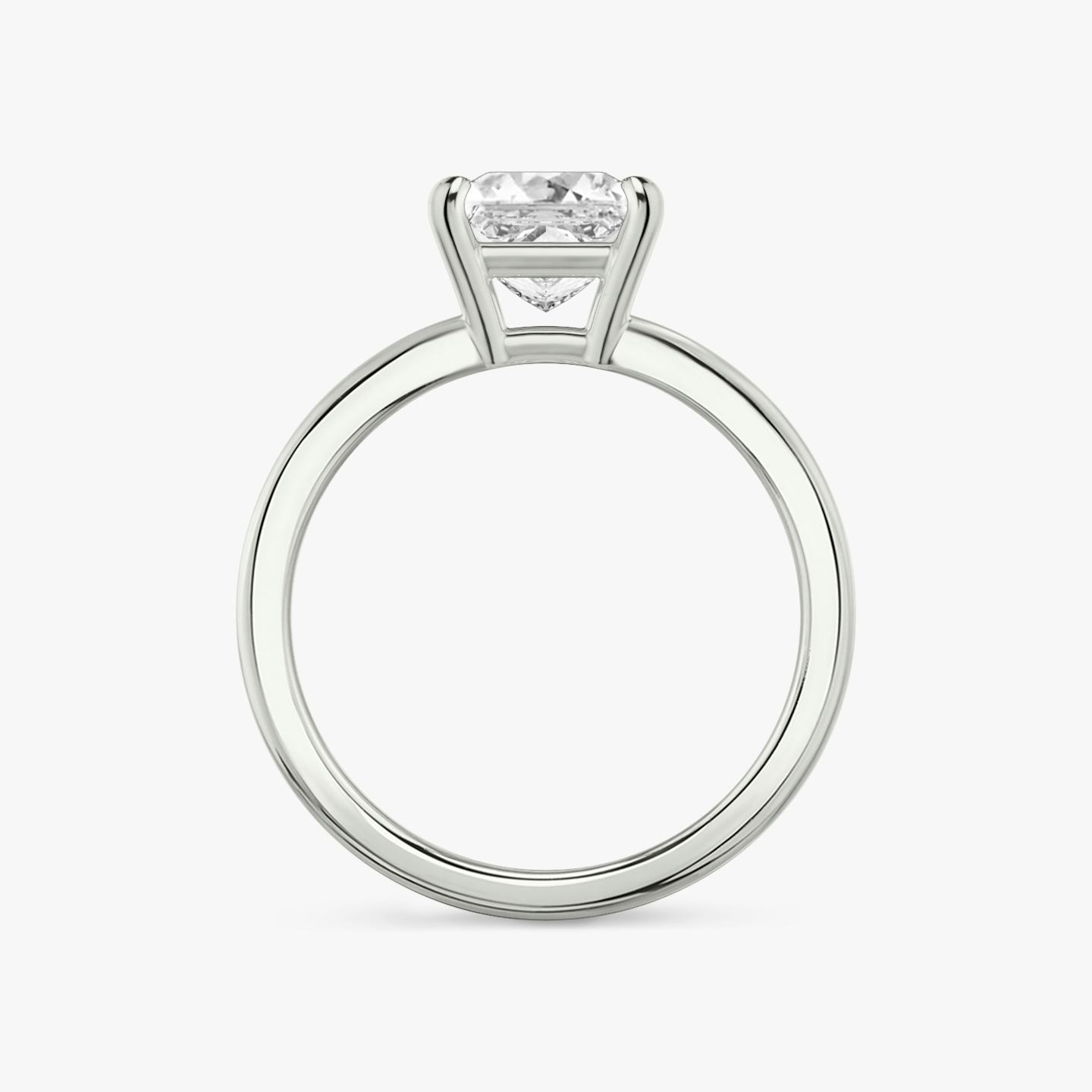 the double band solitaire engagement ring princess plain platinum profile view