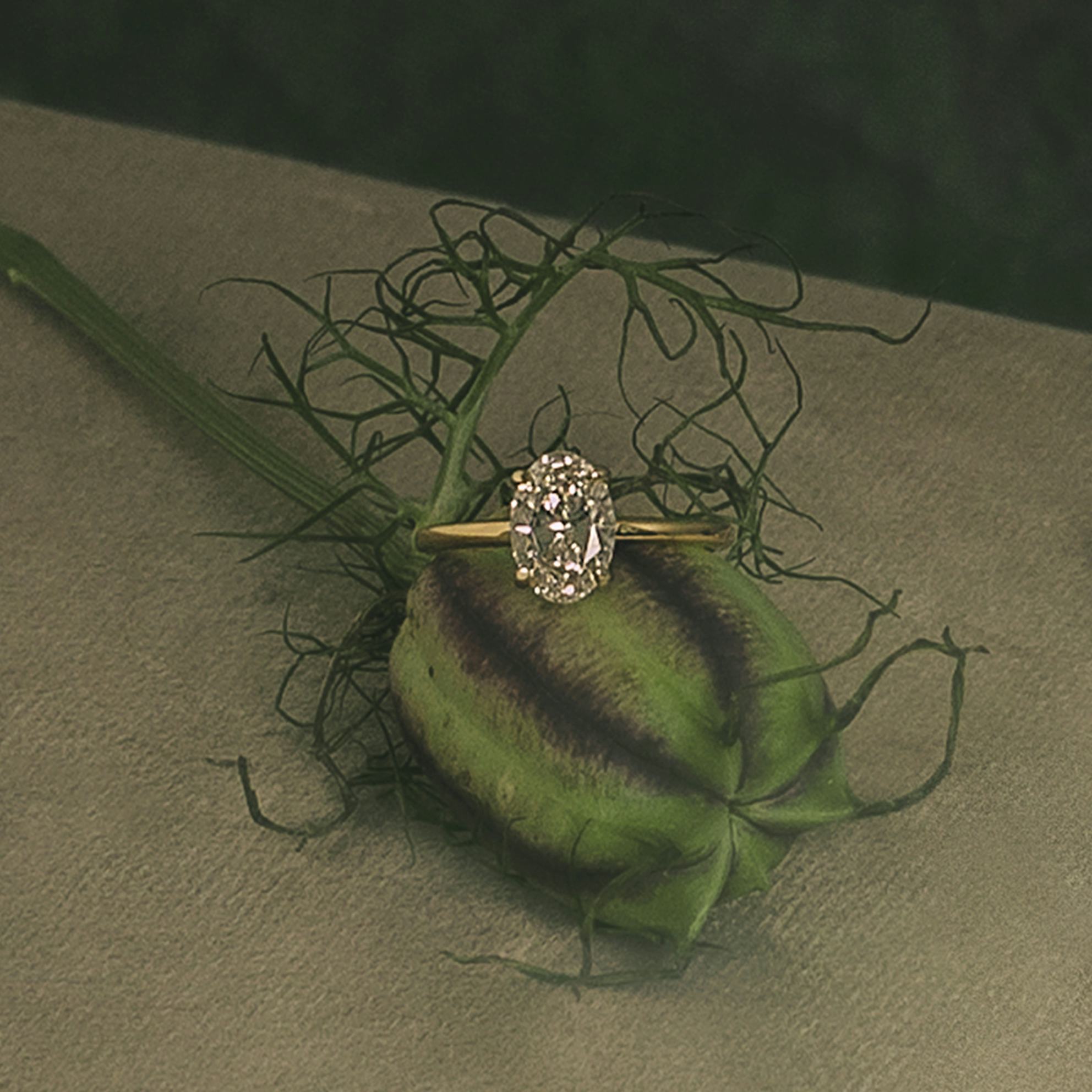 The Floating Solitaire Engagement Ring | VRAI