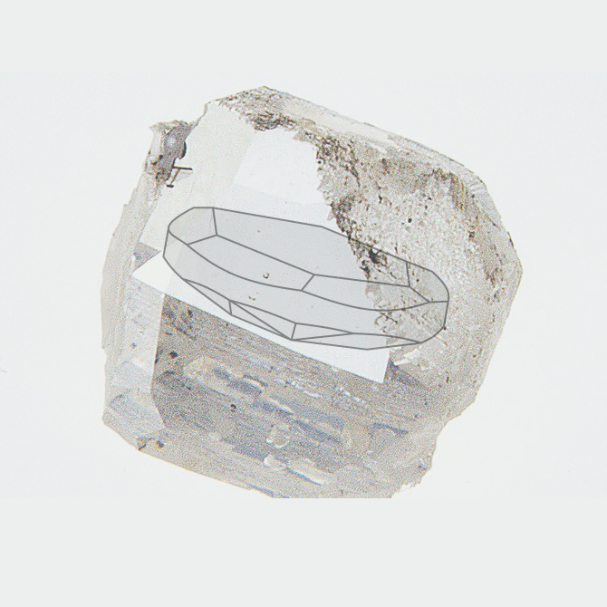 1740614856-oval-rose-rought.jpg