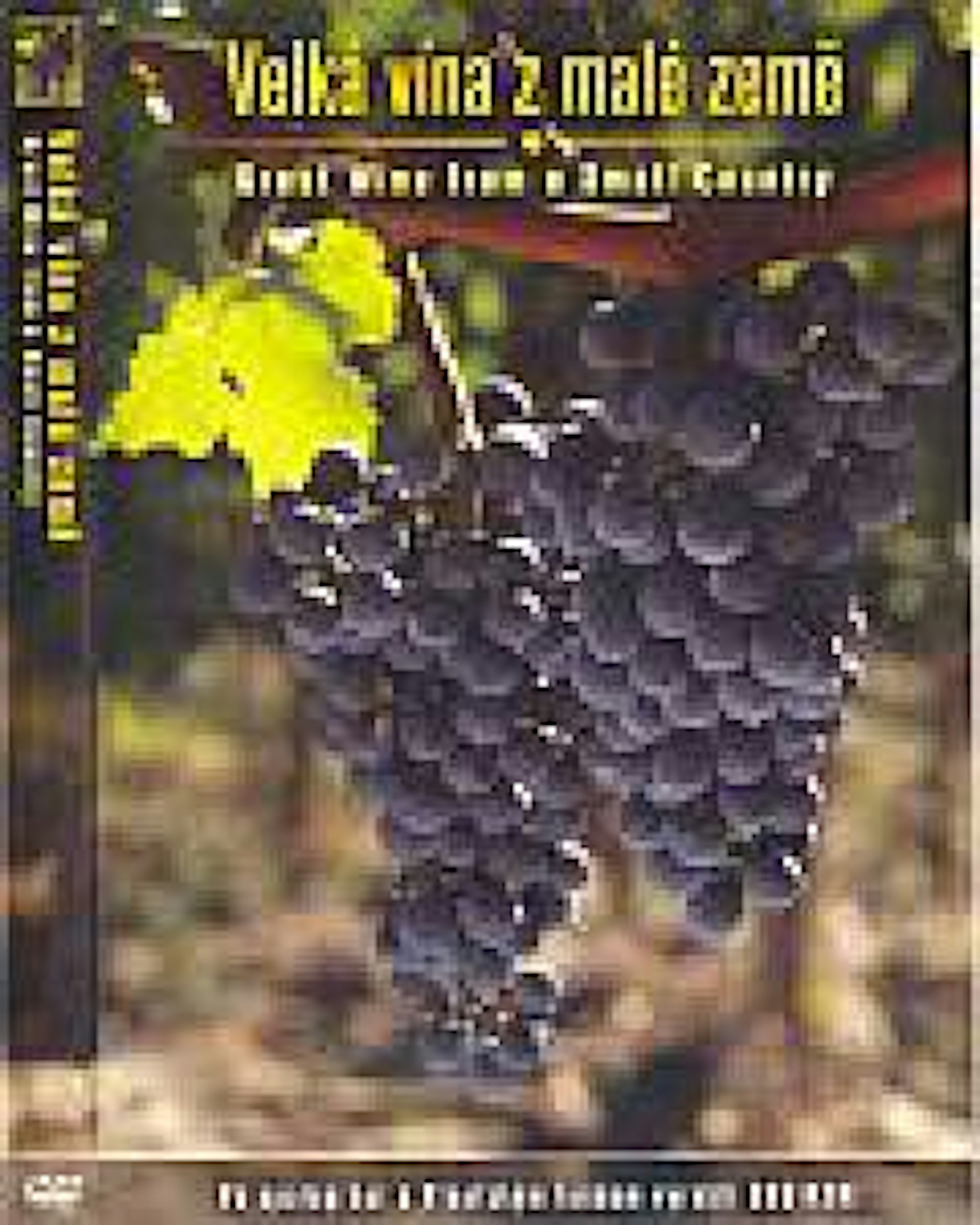 DVD "Velká vína z malé země"