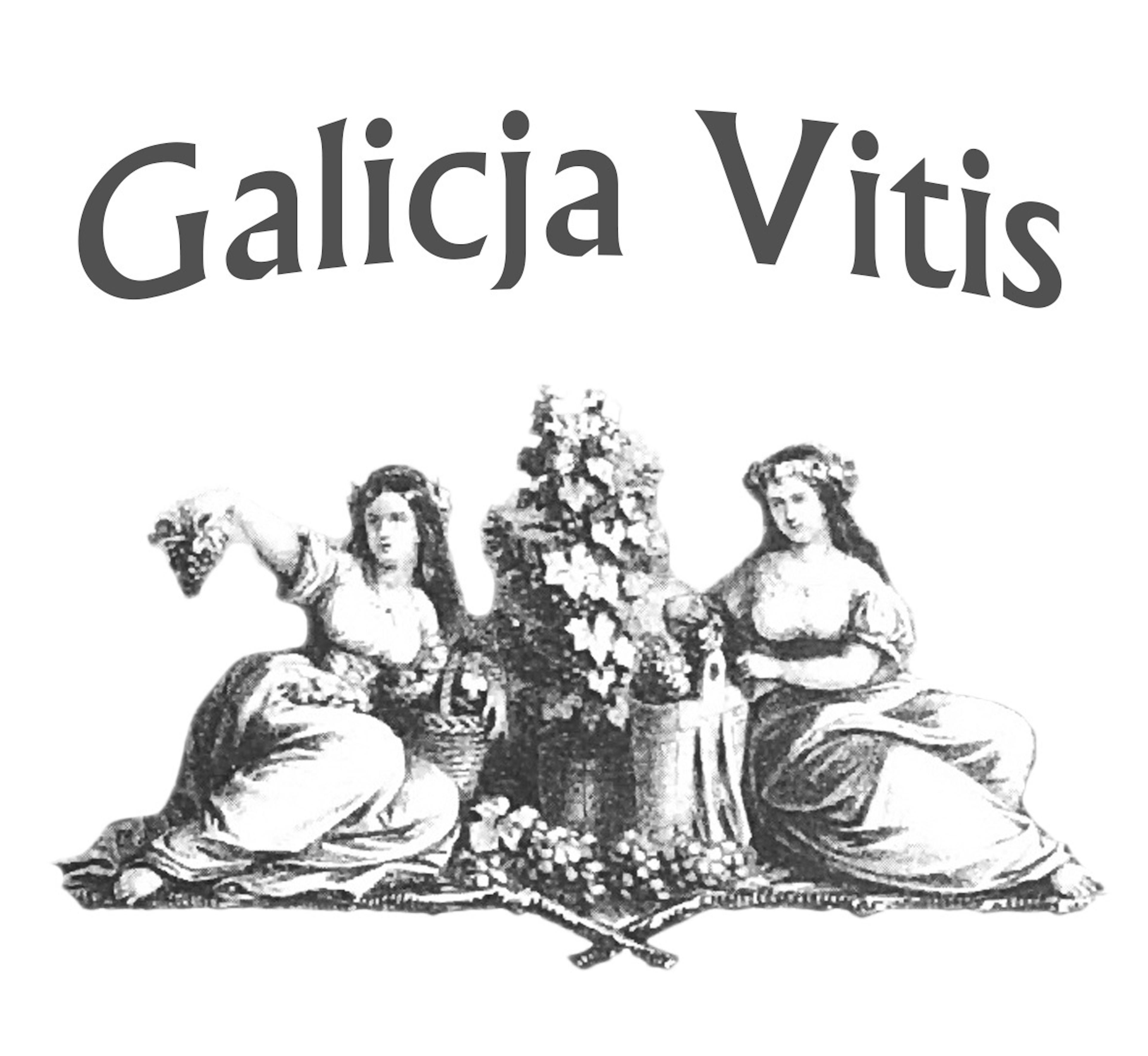Galicja Vitis