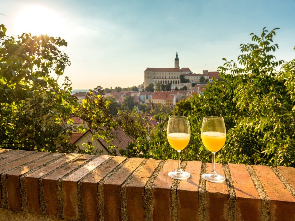 Sturm Wines From Czech Republic