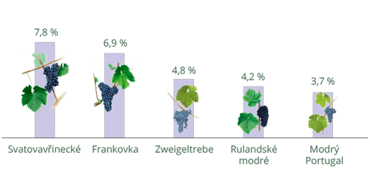 Odrůdy červených vín v ČR