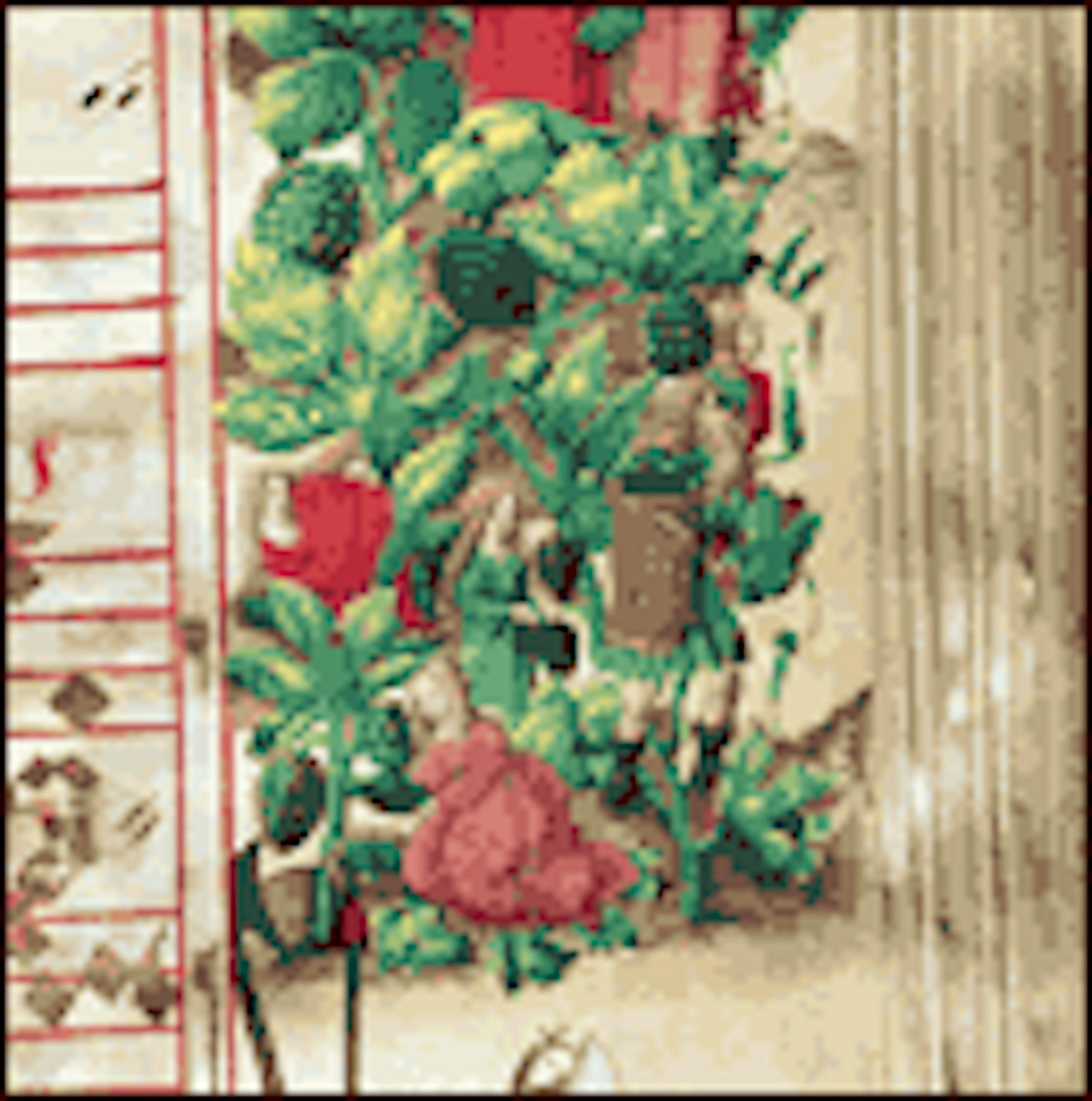 1515 More Detailed Vineyard Rules