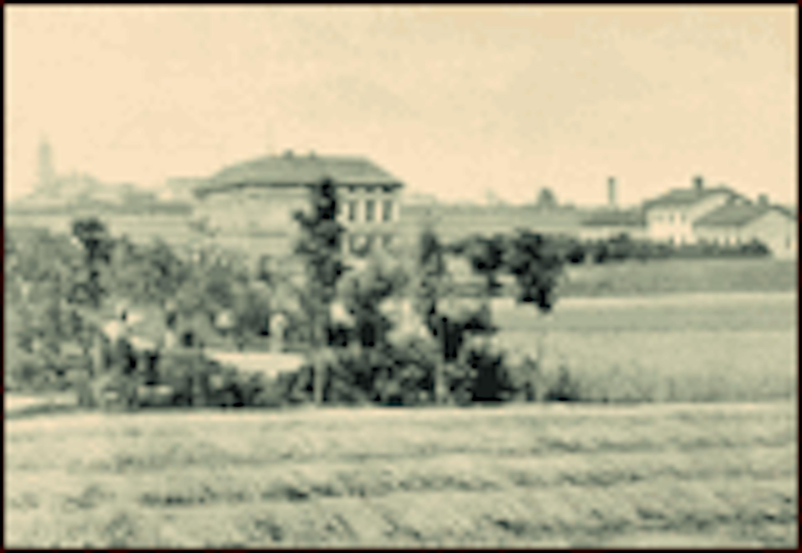 1882 Melnik Wine Academy