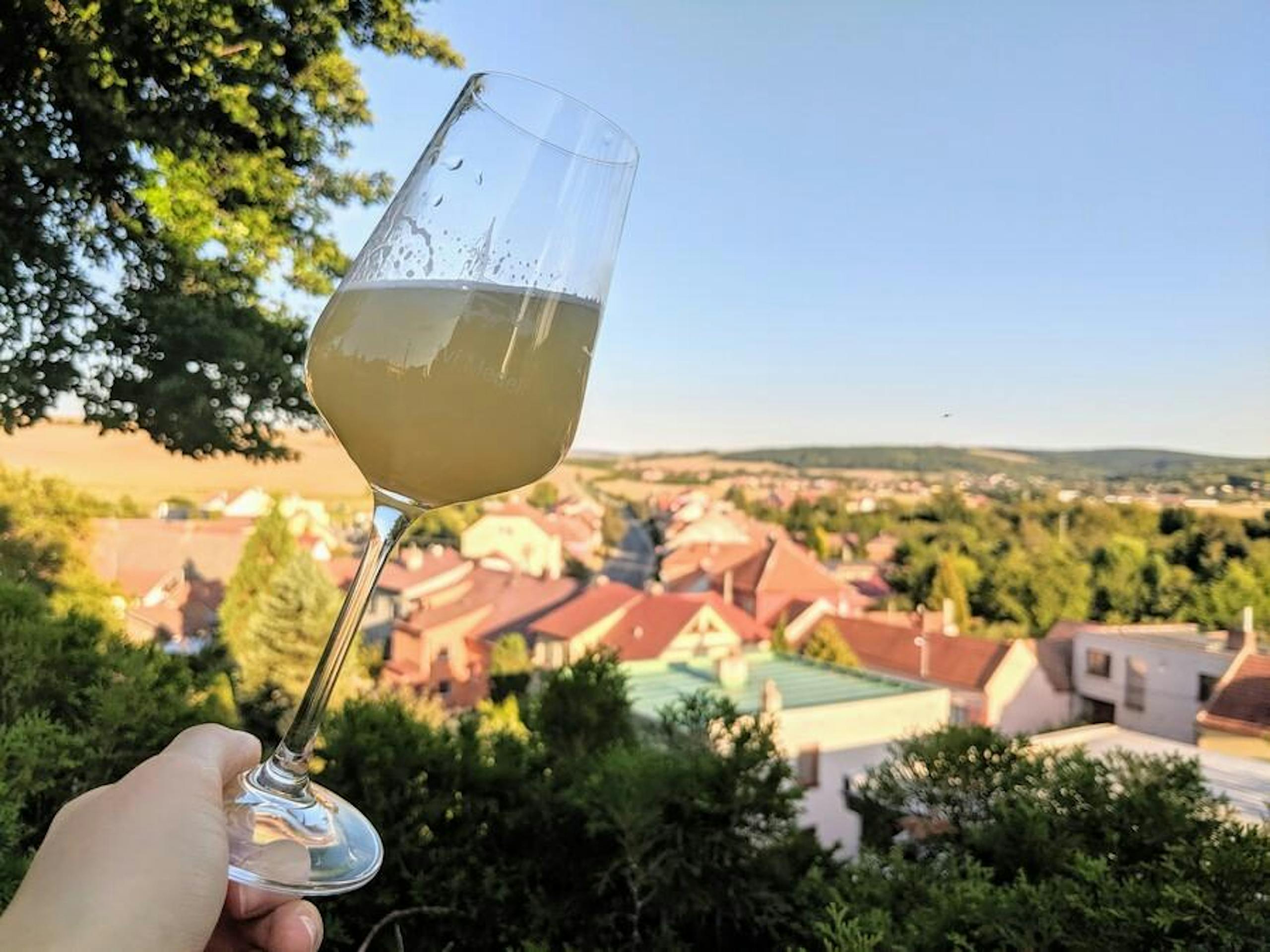 Burčák s výhledem