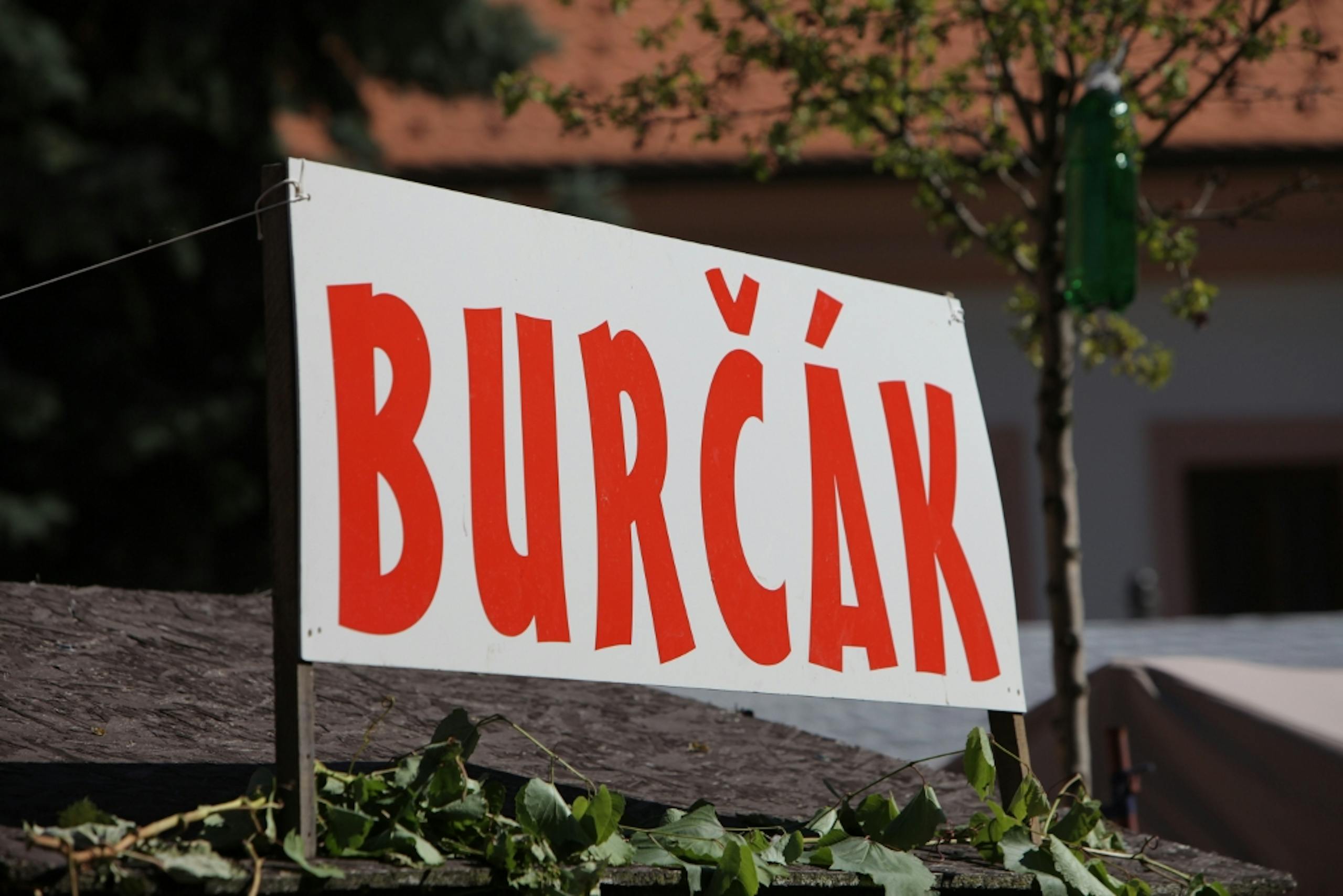 Burčák