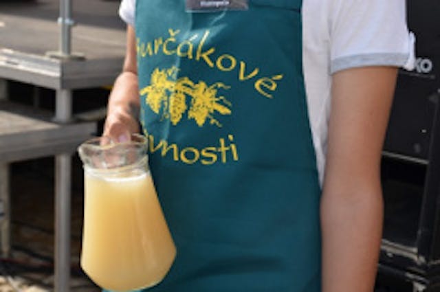burcak hustopece 2017