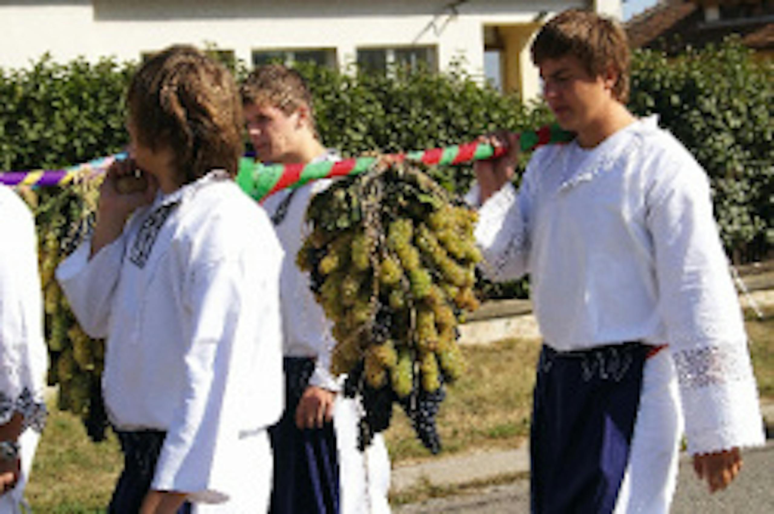 valticke vinobrani2017