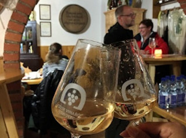 vrbovske vinobrani2017